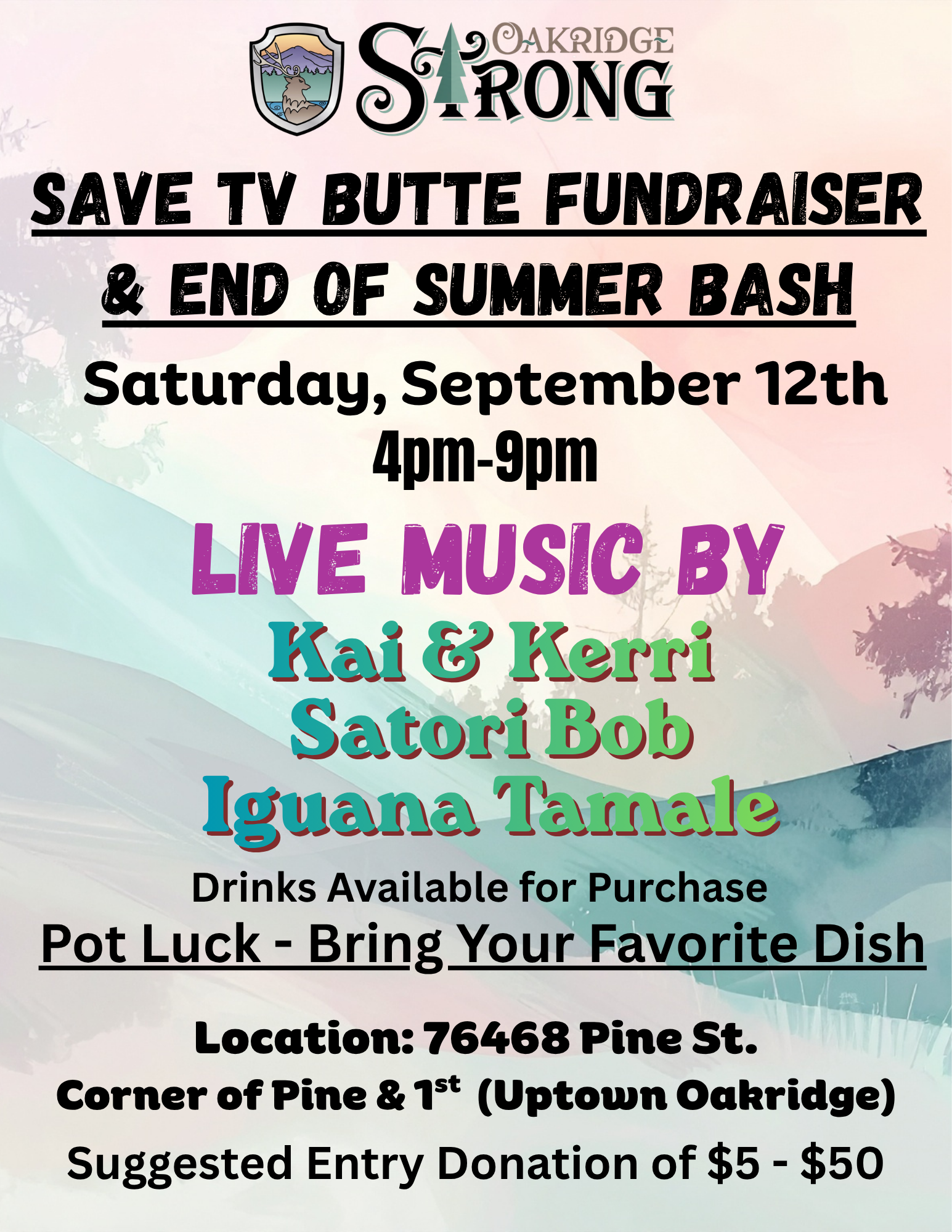 2026 STVB Fundraiser Flyer